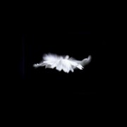 Vittorio Gui, o.T. (03), framed photography, 2009, 135 x 195 cm
