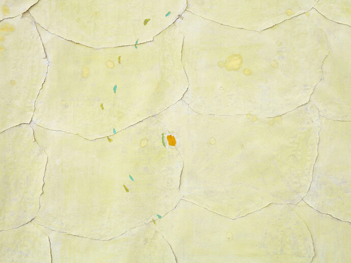 Karla Black, Times, detail, 2014, sugar paper, chalk, ribbon, body paint, nail varnish, 202 x 470 cm, 79 1/2 x 185 1/8 ins, Copyright the artist; Courtesy Stuart Shave/Modern Art, London, and Gisela Capitain, Cologne; Photography RG Image