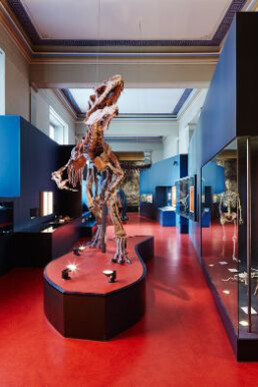 Dinosaurs. Courtesy of Naturhistorisches Museum Basel