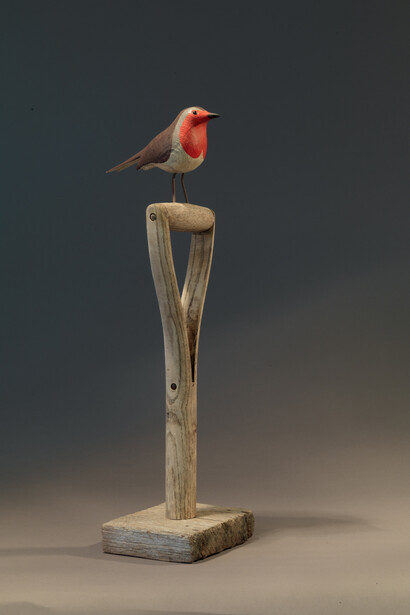 Guy Taplin, Robin