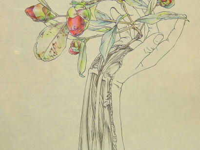 Hammer Projects: Tabaimo. Courtesy of Hammer Museum 