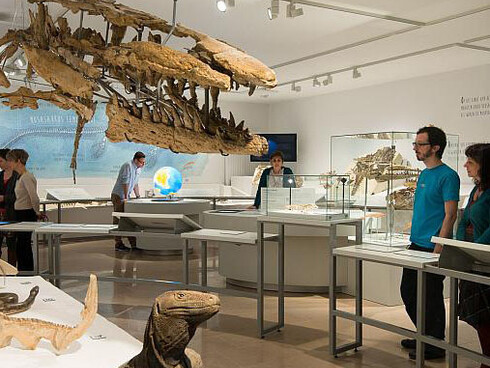 Mosasaur Hall. Courtesy of Royal Belgian Institute of Natural Sciences