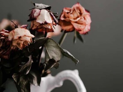 Sterbehilfe war also bisher ein sehr heikles Thema