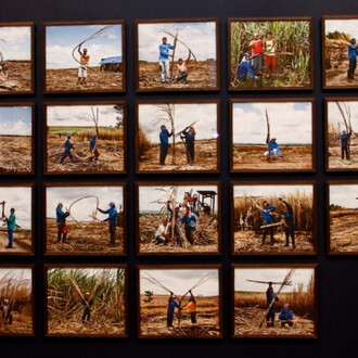 Like dust in the wind. Courtesy of Museu de Arte do Rio