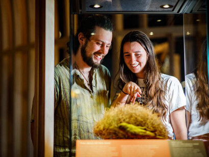 Wild life, exhibition view. Courtesy of Western Australian Museum