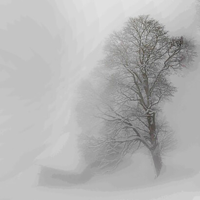 Winter day