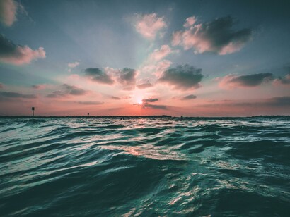 Oceano. Molti virus a RNA hanno un metabolismo che permette loro di contribuire all'assorbimento di carbonio dall'atmosfera per portarlo sul fondo degli oceani