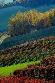 Le Langhe