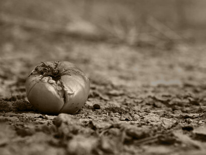 Hay que llevar a cabo un cambio profundo en el sistema agroalimentario mundial si queremos alimentar a más de 820 millones de personas que ya padecen hambre