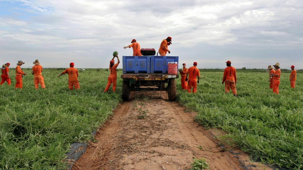 Non ci sono requisiti per il salario minimo nel lavoro dei carcerati negli Stati Uniti
