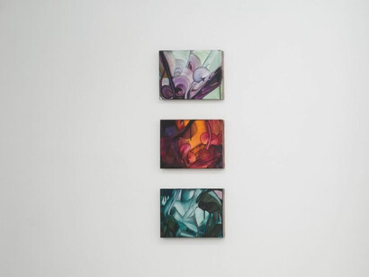 Michele Fletcher, Fooling linnaeus, exhibition view. Courtesy of Nicelle Beauchene Gallery
