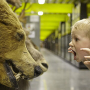 Explore The Store. Courtesy of Birmingham Museum and Art Gallery