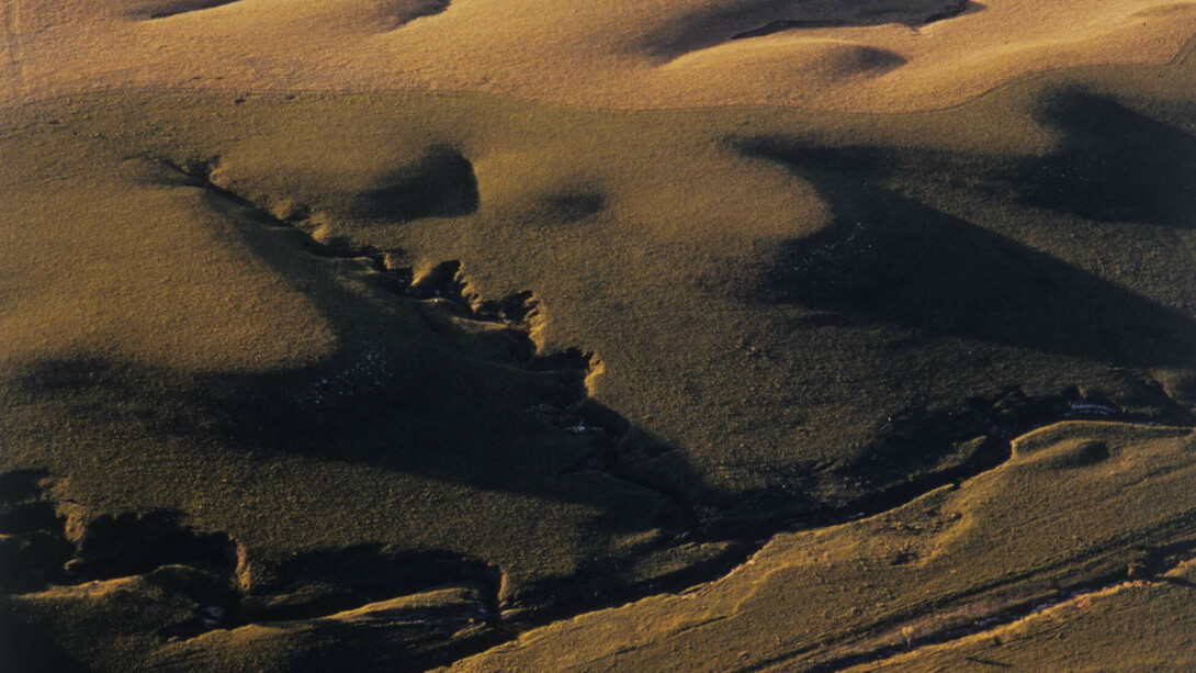 Terry Evans, Konza prairie after spring burning (detail), 1979. Courtesy of Georgia Museum of Art