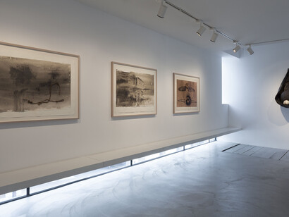 Michael DeLucia, La Pomme de Terre du Ciel, exhibition view, Courtesy Michael DeLucia & Galerie Nathalie Obadia Paris / Brussels © We Document Art