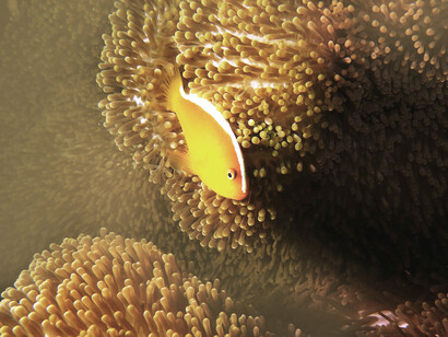 Los 2000 bautizaron la caída que fue alcanzando a los obreros, asistentes, estudiantes hasta el profesorado y por supuesto las instalaciones