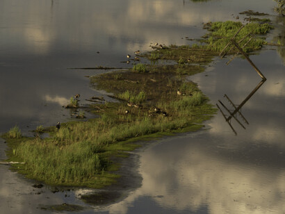 The Unseen Meadowlands. Courtesy of Soho Photo Gallery