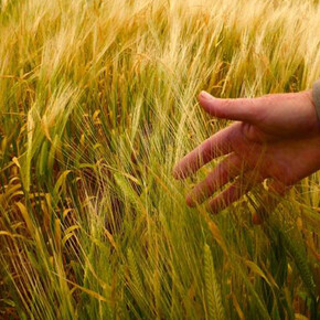 Sana. Courtesy of BolognaFiere