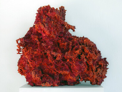 Giorgio Bevignani. Alghe vermiglione, 2013