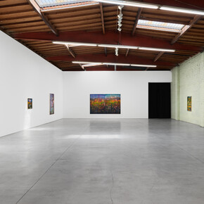 Ben Tong, Idea of north, exhibition view. Courtesy of Night Gallery 