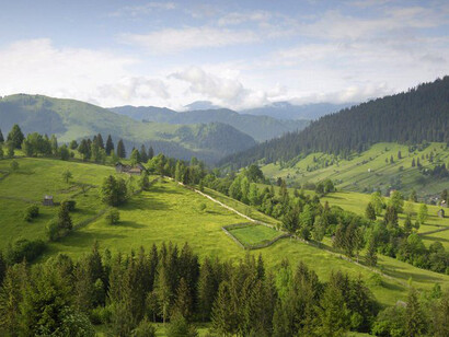 Bukovina