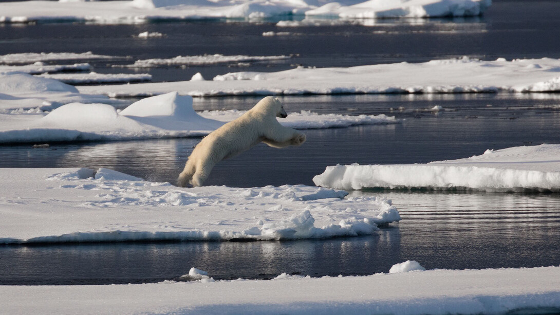Going with the Floe, 2016 Svalbard, Photography-Archival pigment print on Baryta paper, 71x107cm. Courtesy of Alisan Fine Arts