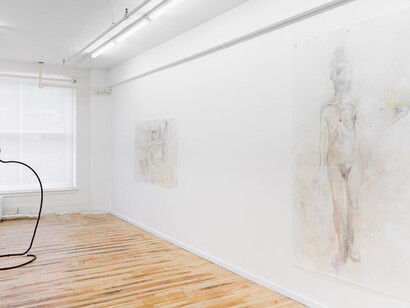 But both are sensitive. Courtesy of Projet Pangée