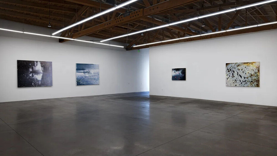 Heide Fasnacht, Nature once removed, exhibition view. Courtesy of Shoshana Wayne Gallery 