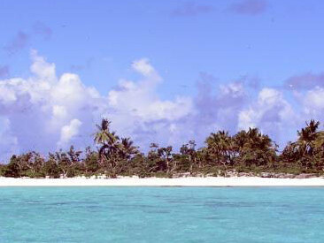 Ecosystems. Courtesy of California Science Center