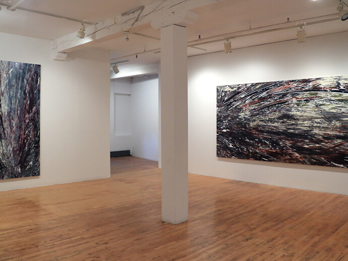 Yoon Lee, "New Work," Installation View. Courtesy the artist and Pierogi Gallery