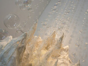 Glasstress Boca Raton. Courtesy of Boca Raton Museum of Art