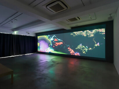 Takao Minami, Mille côtes, exhibition view. Courtesy of Ota Fine Arts