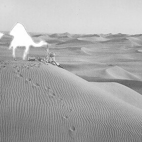 Nouf Aljowaysir, Salaf #1540, 2021. Per gentile concessione di Photo Elysée © Nouf Aljowaysir