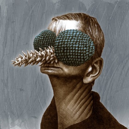 José Molina. Politician (honourable) / Polìtico (honorable) / Politico (onorevole)