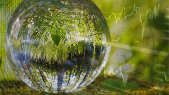 To date, no peer-reviewed study considers the digital industry’s combined ecological impacts