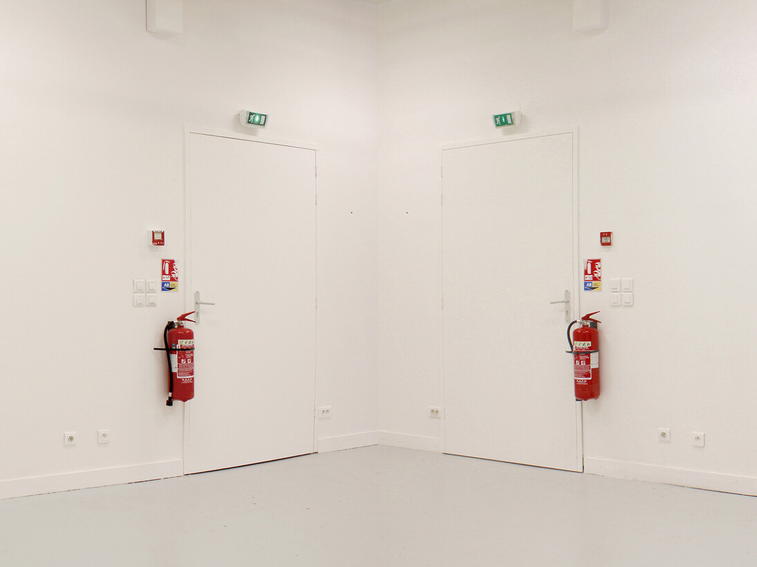 Edouard Lecuyer, Mimesis, variable size, 2014. Courtesy the artist
