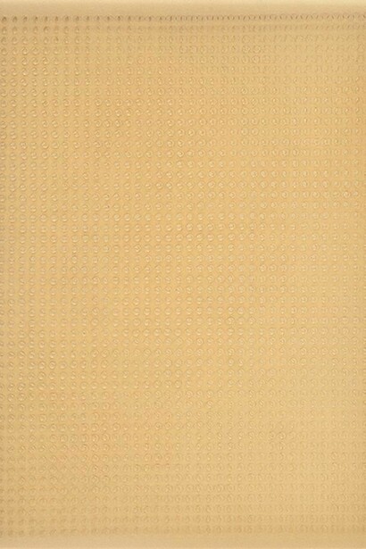 Dadamaino. Volume a moduli sfasati, 60x50 AR
