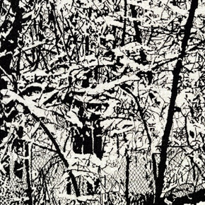 Fahrad Moshiri. Courtesy of Perrotin