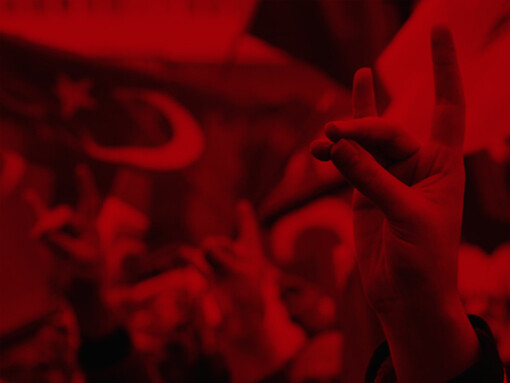 Saludo de los Lobos Grises