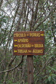 A viagem estava marcada para acontecer dali a duas semanas e, acredite ou não, ela conseguiu estruturar todo o roteiro, passando pela Ladeira do Amendoim, Pedra da Bruxa, Parque Municipal Antônio Rosa, Cachoeira da Lua, Trilha do Vale da Borboleta, dentre muitos outros. Junto com sua mãe e seu pai, iam também seus irmãos, Lucas e Rafael, gêmeos de 9 anos, e seus tios, Umberto e Tânia, com seus filhos, André, de 8 anos, Joana, de 14 anos, e Frederico, de 18 anos. Ela ficou tão feliz com essa notícia!