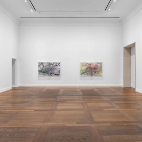 Charles Gaines, Ciphering african acacias and supreme court decisions, exhibition view. Courtesy of Hauser & Wirth Gallery