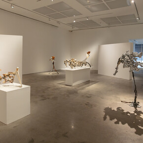 Yasue Maetake, Mare fecunditatis – resurrection, exhibition view. Courtesy of Silverlens Galleries