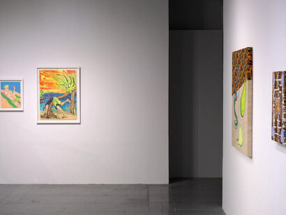 Banana ghost, exhibition view. Courtesy of SAC Gallery