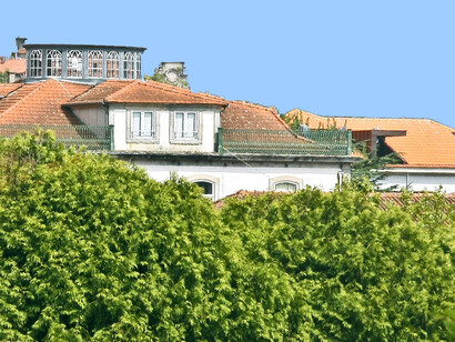 Grandes arbustos em comparação com monumentos antigos nos Jardins do Palácio de Cristal, na cidade do Porto, Portugal