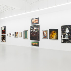 The garden, installation view. ©Harley Weir. Courtesy the artist and Hannah Barry Gallery, London, UK. Photography by ©Damian Griffiths