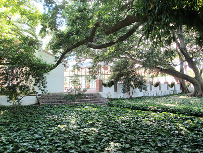 Finca La Cónsula, Málaga
