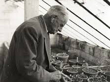 Pere Dot nella serra