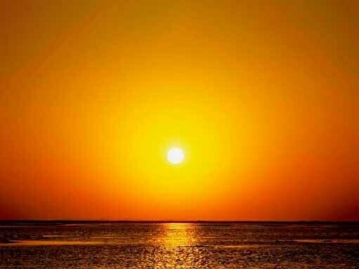 L'ondata di calore marina rilevata nel 2019 nell'area nordorientale dell'Oceano Pacifico ha causato un aumento di circa 3 gradi Celsius nello strato superiore delle acque