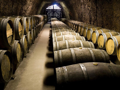 Una cantina in Ato Adige