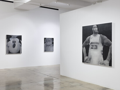 Jingze Du. Magic Kingdom, installation view. Courtesy of Steve Turner