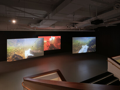 Various artists, Whiria ko te iwi tuna, exhibition view. Courtesy of Govett-Brewster Gallery